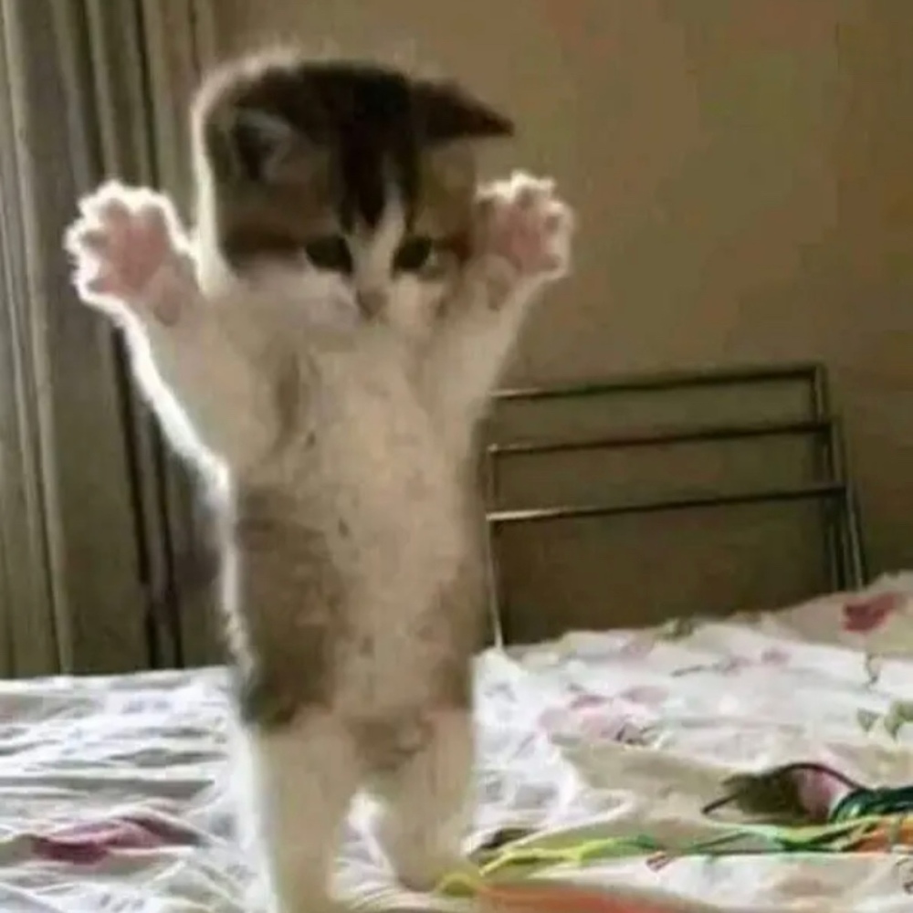 Meet your Posher, eli